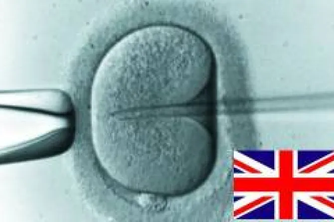 Destruyen 1,7 millones de embriones humanos en Gran Bretaña