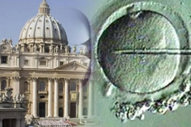 Vaticano presentará alternativas a fecundación artificial