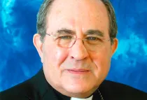 Mons. Juan José Asenjo (Foto Conferencia Episcopal Española)