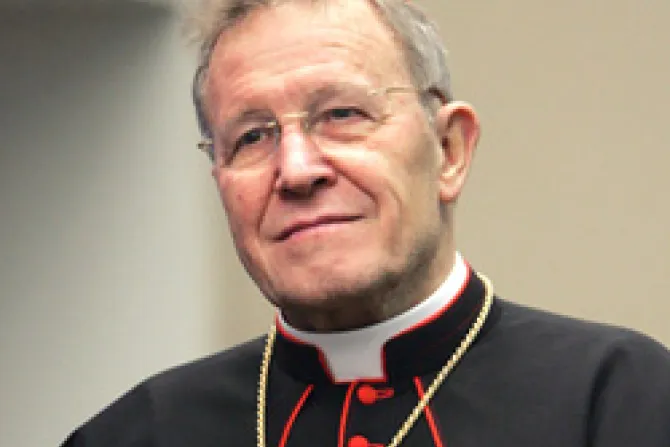 Pretender culpar al celibato por inconductas sexuales es "abuso de abusos", dice Cardenal Kasper