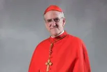 Cardenal Javier Lozano Barragán