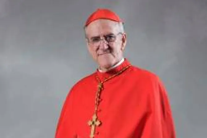 Elegir al nuevo Papa "es una gran responsabilidad" ante Dios y el mundo, dice Cardenal