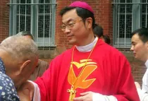 Mons. Ma Daqin, en arresto domiliaciliario desde junio de 2012 en China