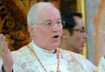 Cardenal Marc Ouellet. Foto: ACI Prensa