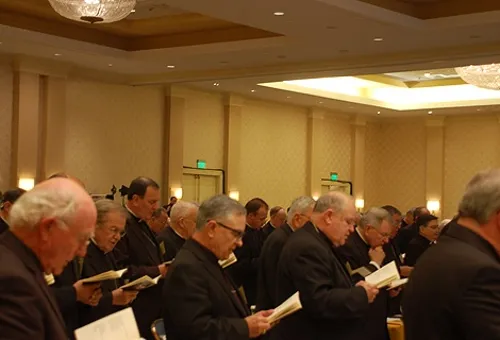 Obispos de Estados Unidos rezan juntos. Foto: ACI Prensa?w=200&h=150