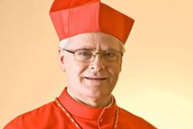Iglesia no niega abusos y tampoco los encubre, precisa Cardenal brasileño