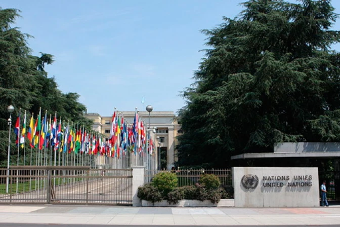 Defienden firme labor de la Iglesia ante abusos tras acusaciones de la ONU