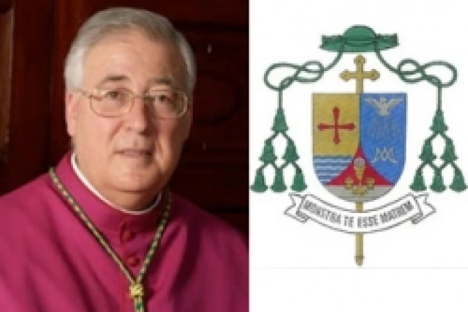 Denuncian persecución del lobby gay contra Mons. Reig Plá