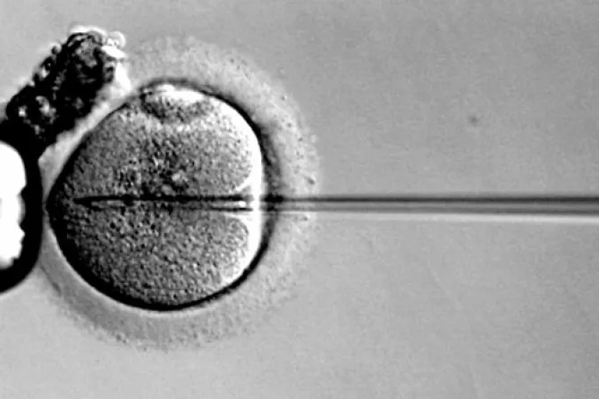 Experto vaticano explica problemas éticos de los métodos de reproducción asistida