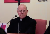 Mons. Ricardo Blázquez Pérez. Foto: REDMADRE