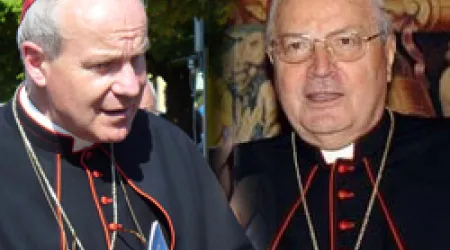 Cardenal Schönborn se disculpa con el Cardenal Sodano en el Vaticano