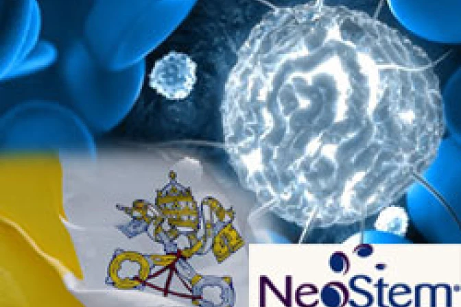 Santa Sede: Investigación con células estaminales adultas