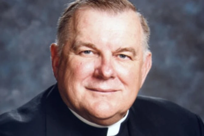 Iglesia es única red capaz de hacer las cosas en Haití, dice Obispo de EEUU