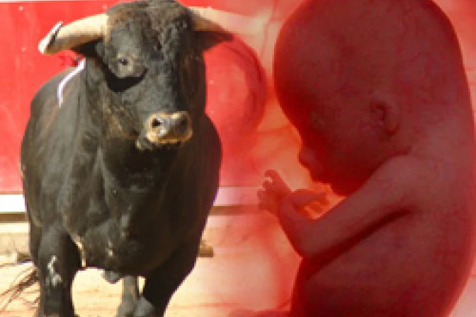 Sacerdote denuncia doble moral de quienes prohíben corridas de toros y apoyan aborto