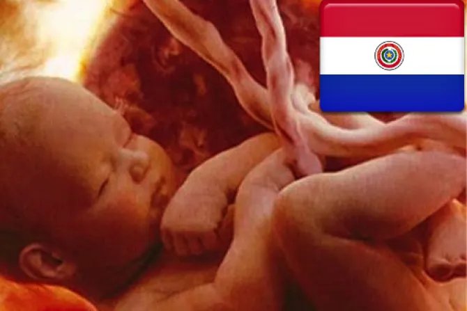 Paraguay: Obispos piden tener presente defensa de la vida y familia en elecciones