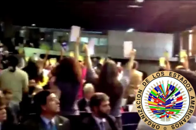 VIDEO: Lobby gay y del aborto ante OEA intenta boicotear declaración pro vida y pro familia