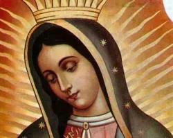 Monaguillos celebran 25 años de peregrinar a Virgen de Guadalupe