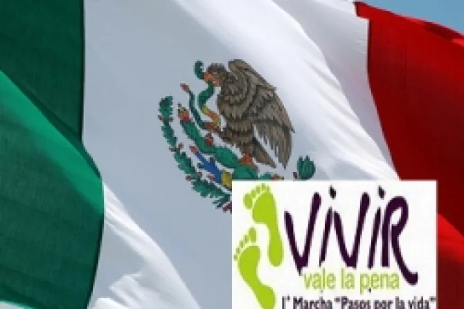 A 5 años de despenalización del aborto convocan gran marcha pro-vida en México DF