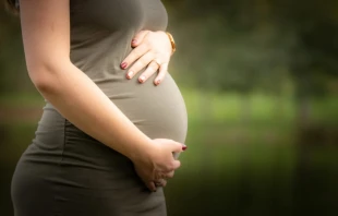 null Crédito: BAUER Alexandre/Shutterstock.