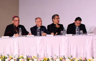 Presentación del Documento Base del 53º Congreso Eucarístico Internacional Crédito: Cortesía IEC2024