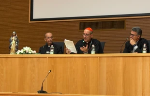 La presentación del documento en la Curia Jesuitas Crédito: Victoria Cardiel/EWTN News