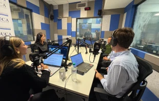 Presentación del informe en el streaming Hagamos Lío Crédito: UCA