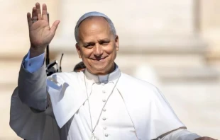 El Papa León XIV saluda a la multitud tras su Audiencia General del miércoles 6 de agosto de 2025 desde la Plaza de San Pedro, en la Ciudad del Vaticano. Crédito: Daniel Ibanez - EWTN News