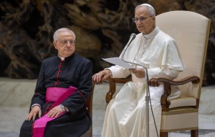 El Papa León en la Audiencia General de este 13 de agosto Crédito: Daniel Ibáñez/ EWTN Nes