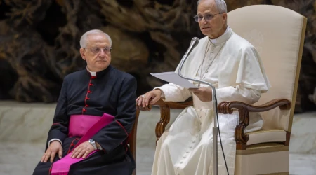 El Papa León en la Audiencia General de este 13 de agosto