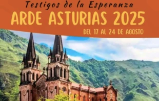 Cartel del proyecto "Arde Asturias" null