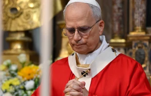 Imagen referencial del Papa León XIV Crédito: Vatican Media