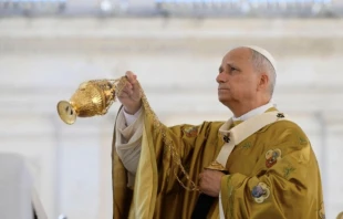 El Papa León XIV durante la Misa de canonización de Frassati y Acutis Crédito: Vatican Media