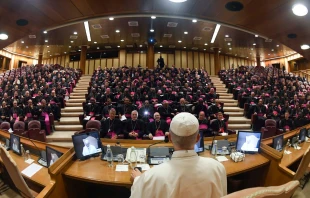 Imagen del encuentro del Papa León XIV con obispos el 11 de septiembre Crédito: Vatican Media