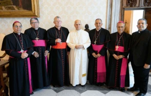 El Papa León XIV junto a la presidencia del CELAM Crédito: Vatican Media/ CELAM