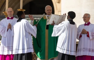 El Papa León XIV preside la Misa por el Jubileo de la Vida Consagrada Crédito: Daniel Ibáñez/ EWTN News