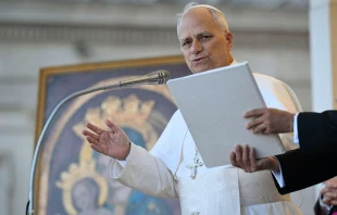 Imagen referencial del Papa León XIV Crédito: Vatican Media