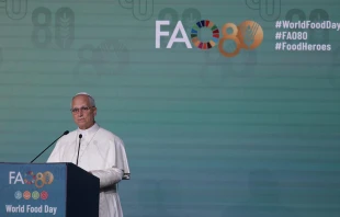 El Papa León XIV durante su intervención en la sede de la FAO en Roma Crédito: Daniel Ibáñez/EWTN News