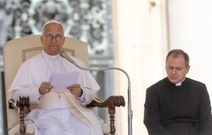 El Papa imparte su catequesis este 30 de julio Crédito: Daniel Ibáñez/ EWTN News