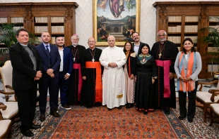 El Papa León XIV con la Conferencia Eclesial de la Amazonía (CEAMA) Crédito: Vatican Media