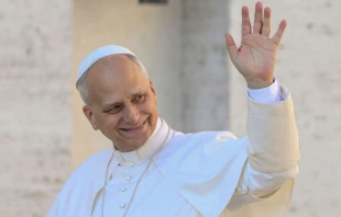 Imagen referencial del Papa León XIV Crédito: Vatican Media