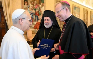 Mons. Gintaras Grušas y el Arzobispo Nikitas Lioulias presentan el documento al Papa León XIV Crédito: Vatican Media