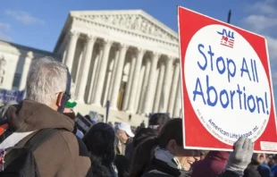 La Marcha por la Vida se desarrolla cada enero en Washington. Cru00e9dito: American Life League/Flickr (CC BY-NC 2.0) 