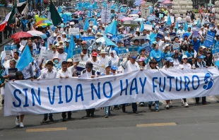 Marcha a favor de la vida en Ciudad de México Crédito: Pasos por la Vida