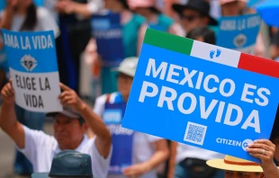 Marcha por la Mujer y la Vida. Crédito: Marcha por la Mujer y la Vida