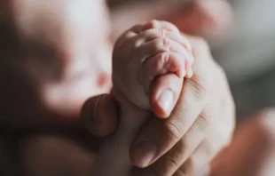 Imagen referencial. Crédito: Jessica Irani / Unsplash.