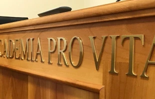 Academia para la Vida. Cru00e9dito: Vatican Media 