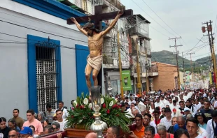 Peregrinación en la ciudad de Valencia, de camino a la apertura de la Puerta Santa en la Basílica Catedral Nuestra Señora del Socorro. Crédito: Arquidiócesis de Valencia.