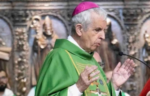 Mons. Luis Quinteiro, Obispo de Tui-Vigo, en España. Crédito: Obispado de Tui-Vigo