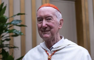 Cardenal Timothy Radcliffe. Crédito: Daniel Ibáñez / EWTN News.