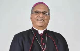 La Arquidiócesis de Santo Domingo niega conocer una supuesta investigación por abusos contra uno de sus obispos auxiliares, Mons. Ramón Benito Ángeles Fernández. Crédito: IacaobusL CC BY-SA 4.0 DEED